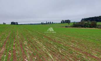 Imagem: ÁREA DE TERRA PARA PLANTIO NO BORMANN