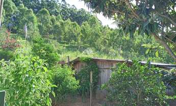 Imagem 6: ÁREA RURAL PAIAL