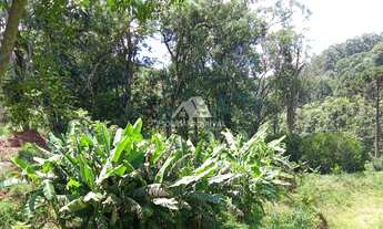 Imagem 3: ÁREA CORDILHEIRA ALTA