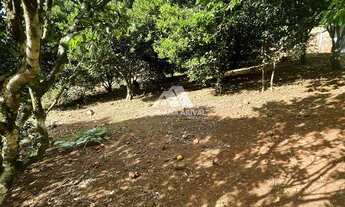 Imagem 3: ÁREA DE TERRA EM CORDILHEIRA