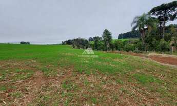 Imagem 5: ÁREA DE TERRA PARA PLANTIO NO BORMANN