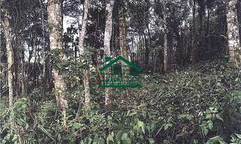 Imagem: TERRENO PARA CHÁCARA OU CULTIVO - ÁREA