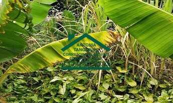 Imagem 7: LINDO TERRENO NO JARDIM RENATA 250M² LEVE DECLIVE – ARUJÁ/SP