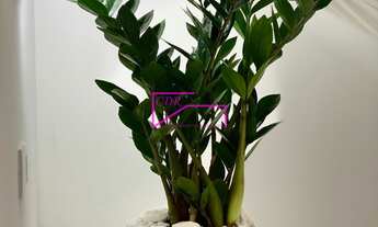 Imagem 6: Sobrado frontal com quintal gourmet pronto