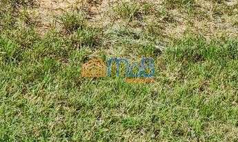 Imagem 3: Terreno no Viverde 1, Melhor localização do Condomínio!