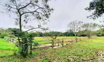 Imagem 4: Haras 27ha com 2 Açudes, 2 Córregos, Excelente Área para Criação em Porto Alegre