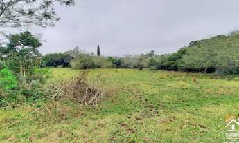 Imagem 2: Haras 27ha com 2 Açudes, 2 Córregos, Excelente Área para Criação em Porto Alegre