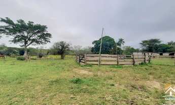 Imagem 5: Haras 27ha com 2 Açudes, 2 Córregos, Excelente Área para Criação em Porto Alegre