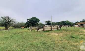 Imagem 6: Haras 27ha com 2 Açudes, 2 Córregos, Excelente Área para Criação em Porto Alegre