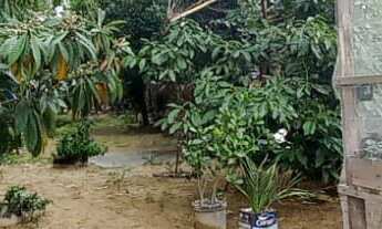 Imagem 5: Sítio de 3000m² com Açude em Condomínio com Lagoa em Águas Claras - Viamão/RS