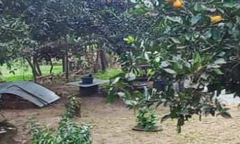 Imagem 7: Sítio de 3000m² com Açude em Condomínio com Lagoa em Águas Claras - Viamão/RS