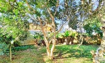 Imagem 6: Sítio com 3 Dormitórios em Condomínio com Linda Lagoa - Águas Claras - Viamão