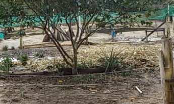 Imagem 4: Sítio de 3000m² com Açude em Condomínio com Lagoa em Águas Claras - Viamão/RS