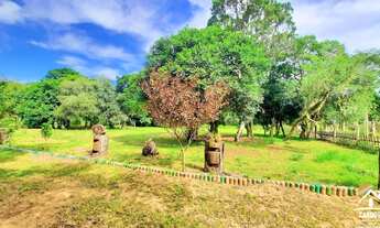 Imagem: Sítio de 5000m² com Capão de Mata Nativa