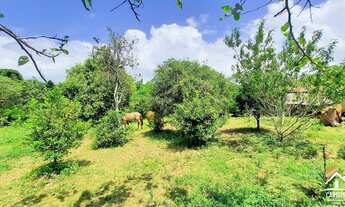 Imagem 2: Terreno de 5.000m², à Venda por R$ 240.000 em Itapuã - Viamão/RS
