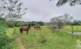 Imagem 7: Haras 27ha com 2 Açudes, 2 Córregos, Excelente Área para Criação em Porto Alegre