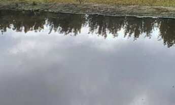 Imagem 2: Sítio de 3000m² com Açude em Condomínio com Lagoa em Águas Claras - Viamão/RS