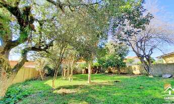 Imagem 4: Sítio com 3 Dormitórios em Condomínio com Linda Lagoa - Águas Claras - Viamão