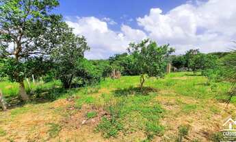 Imagem 3: Terreno de 5.000m², à Venda por R$ 240.000 em Itapuã - Viamão/RS