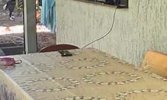 Imagem 4: Sítio com 1.200m², Piscina em Condomínio com Lagoa - Águas Claras, Viamão/RS