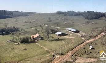 Imagem: Fazenda de 106,5ha com Estrutura para Pecuária