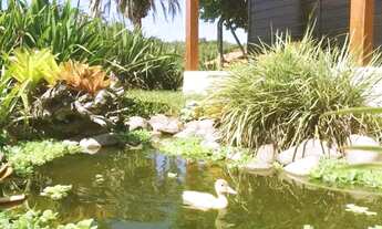 Imagem 2: Sítio com Galpão de Festas em Condomínio com Lagoa em Águas Claras - Viamão/RS