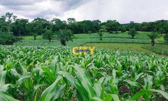 Imagem 6: Fazenda na Região do Manso