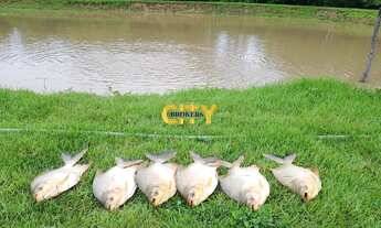 Imagem 7: Fazenda na Região do Manso