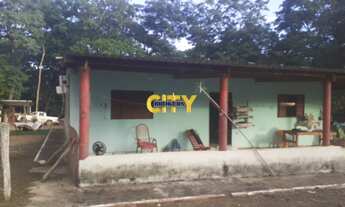 Imagem 4: Vende-se Chácara Estrada da Ponte de Ferro