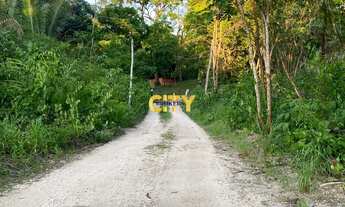 Imagem 5: Vende-se Chácara de Recreação Rio Aricá Mirim