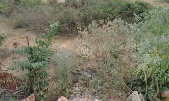 Imagem: 2 Lotes à Venda de igual tamanho  Documentação