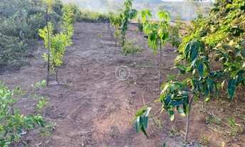 Imagem 7: Chácara à Venda – Local Tranquilo com Ótima Estrutura