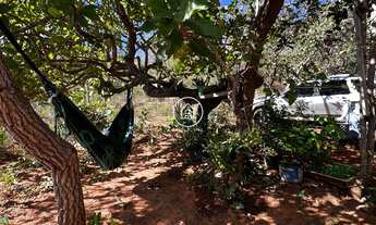 Imagem 6: Chácara com Infraestrutura Completa – Pronta para Morar ou Lazer