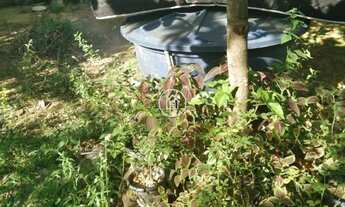 Imagem 2: ???? Chácara à Venda – Viva com Mais Espaço, Natureza e Qualidade de Vida!