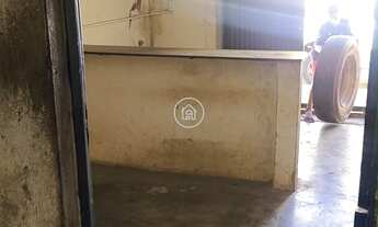 Imagem 4: Galpão à Venda com Pé-Direito Alto e Fácil Acesso