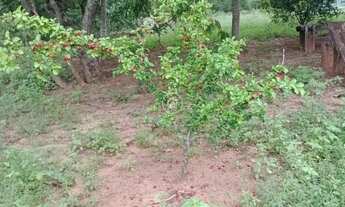 Imagem 4: Chácara à Venda – Espaço, Natureza e Tranquilidade para sua Família