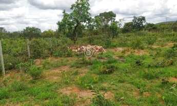 Imagem: Terreno Amplo à Venda  Excelente Custo-Benefício