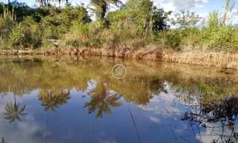 Imagem 4: ???? Fazenda à Venda