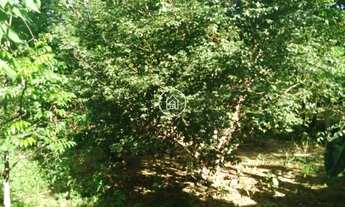 Imagem 3: ???? Chácara à Venda – Viva com Mais Espaço, Natureza e Qualidade de Vida!