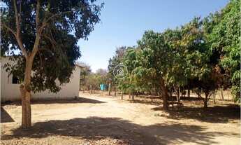 Imagem: Seu Refúgio na Natureza Chácaras à Venda