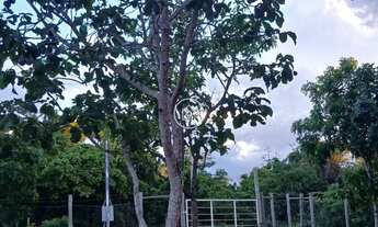 Imagem 4:  Chácara à Venda – Amplo, aconchegante e perfeito para lazer e produção ✨