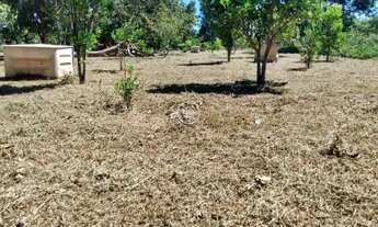Imagem 2: Chácara à Venda – Espaço, Natureza e Tranquilidade para sua Família