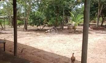 Imagem 6: Chácara à Venda – Espaço, Natureza e Tranquilidade para sua Família