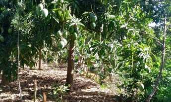 Imagem 5: Chácara à Venda – Tranquilidade e Natureza a Poucos Minutos da Cidade