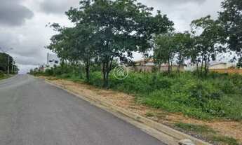 Imagem: Terreno Amplo e Bem Localizado Ideal