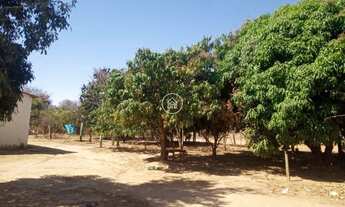 Imagem 6: ???? Seu Refúgio na Natureza: Chácaras à Venda com Excelente Localização