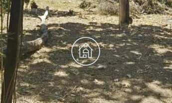 Imagem: Dois Lotes Lado a Lado Registros Separados