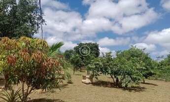 Imagem 5: Chácara à Venda – Espaço, Natureza e Tranquilidade para sua Família