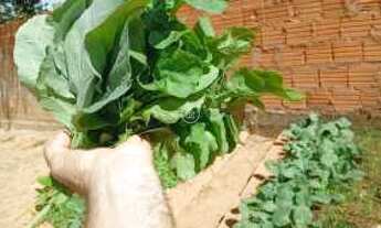 Imagem 5: Terrenos à Venda com Excelente Localização e Potencial de Valorização