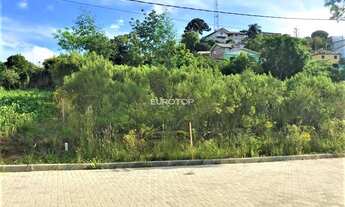 Imagem: Lindo terreno plano!